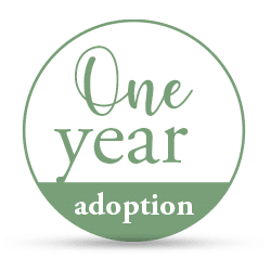 One year adoption badge