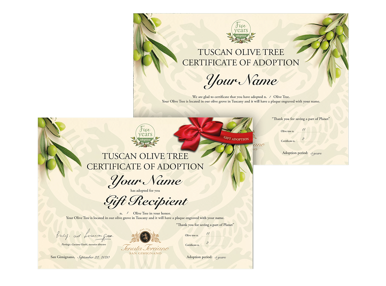 Tuscan olive tree certificates of adoption, including the gift version