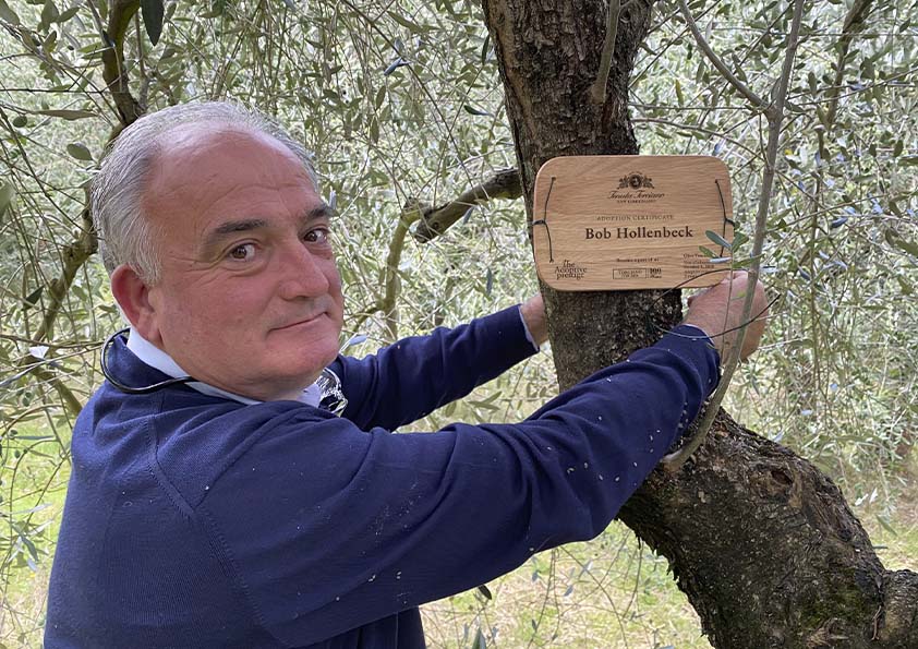 Placing a personalised wooden adoption plaque on an olive tree at Tenuta Torciano