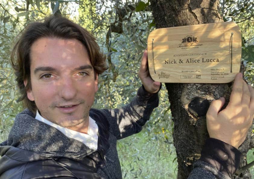 Personalised wooden adoption plaque on an adopted olive tree