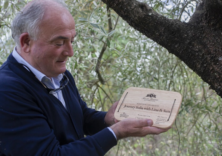 Personalised wooden adoption plaque held in front of an olive tree