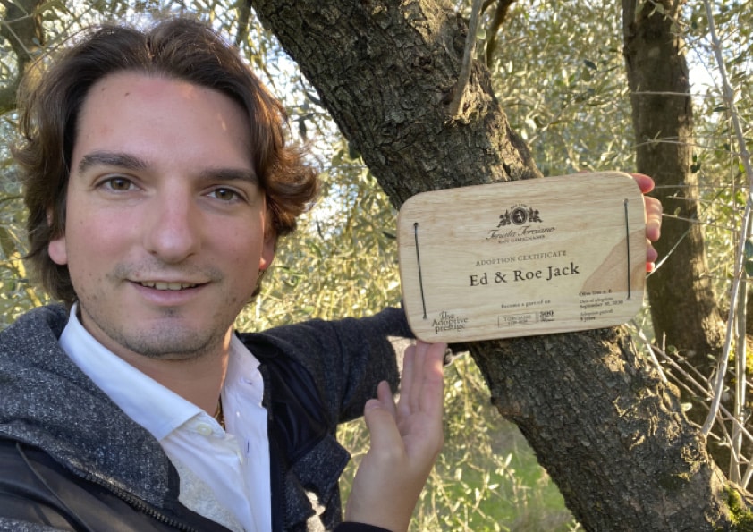 Personalised wooden adoption plaque on an adopted olive tree