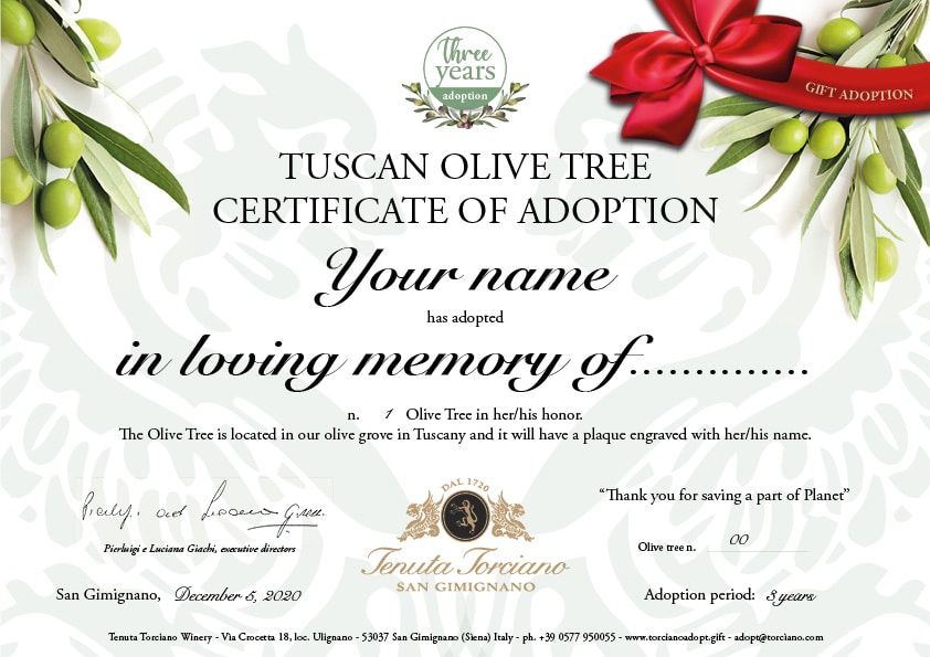Tuscan olive tree certificate of adoption in loving memory
