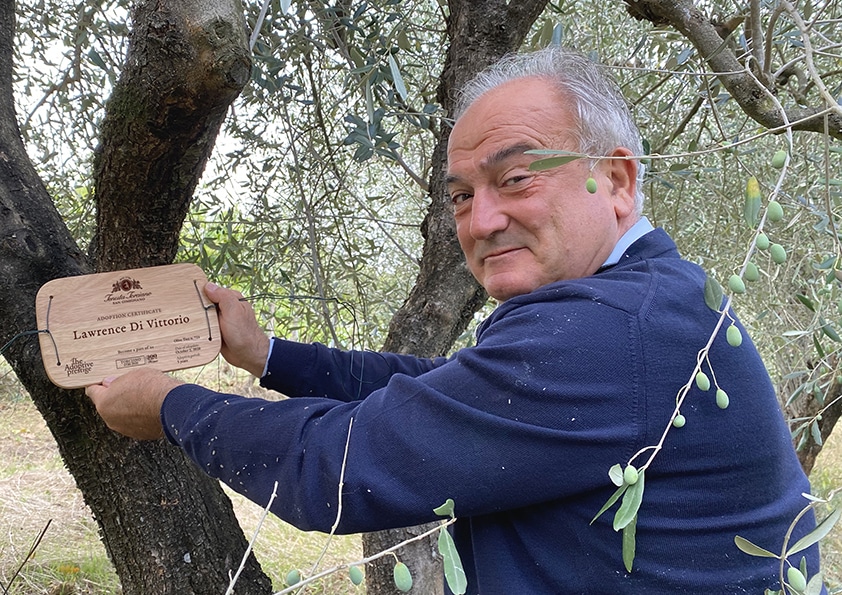 Placing a personalised wooden adoption plaque on an olive tree at Tenuta Torciano