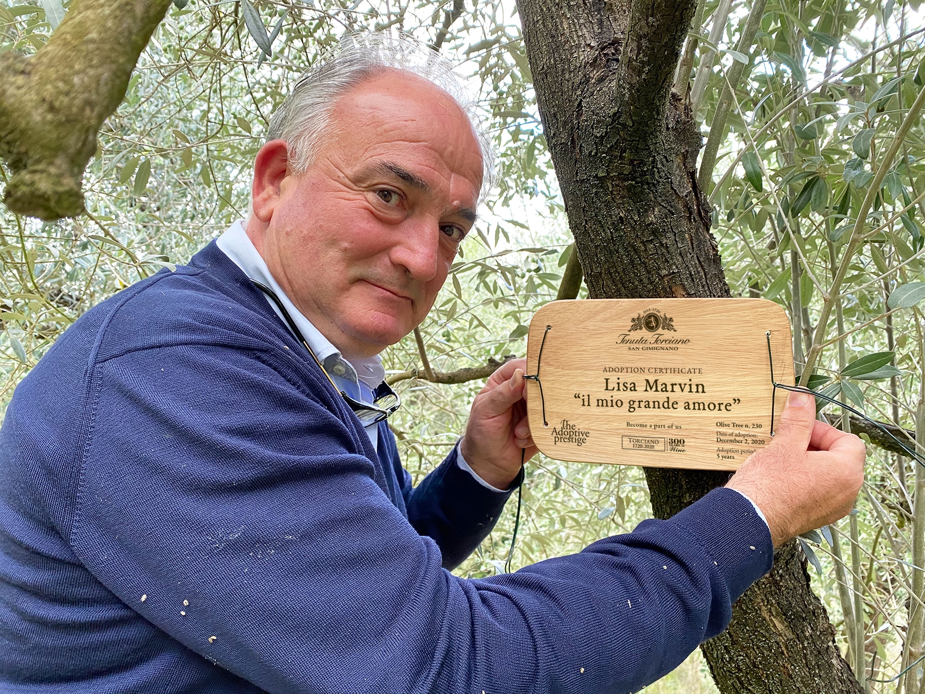 Personalised wooden adoption plaque dedicated to a loved one on an olive tree