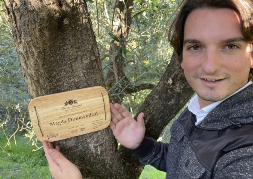Personalised wooden adoption plaque on an adopted olive tree