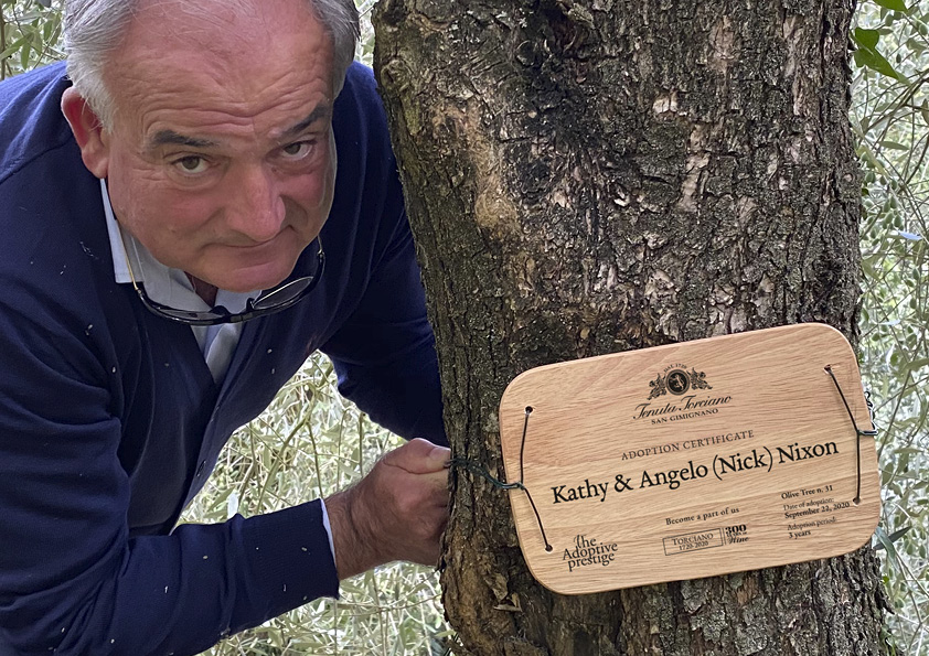 Personalised wooden adoption plaque on the trunk of an olive tree