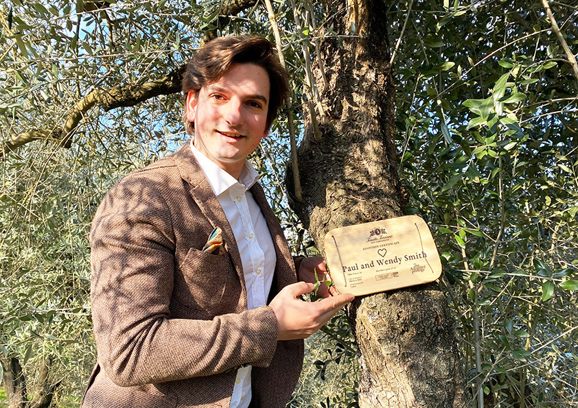 Personalised wooden adoption plaque on an adopted olive tree