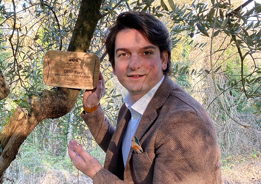 Personalised wooden adoption plaque on an adopted olive tree