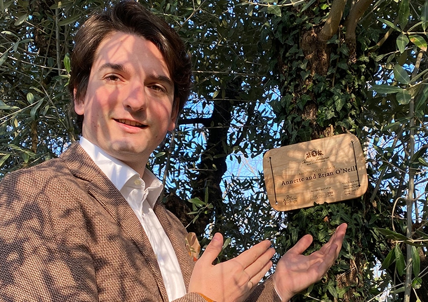 Personalised wooden adoption plaque on an adopted olive tree