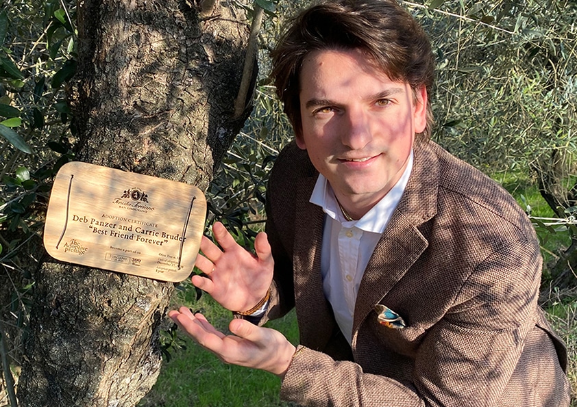 Personalised wooden adoption plaque on an adopted olive tree