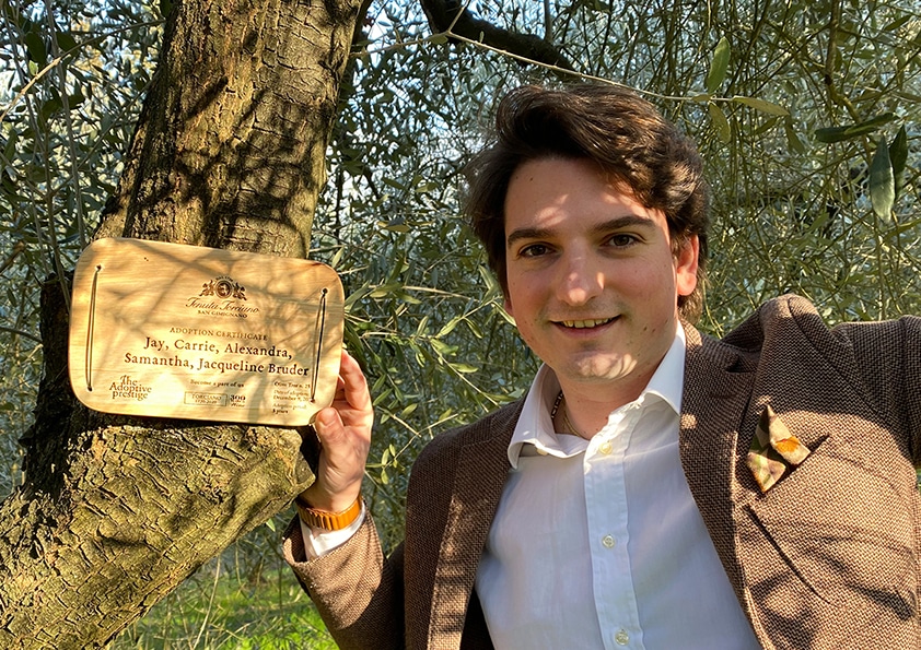Personalised wooden adoption plaque on an adopted olive tree