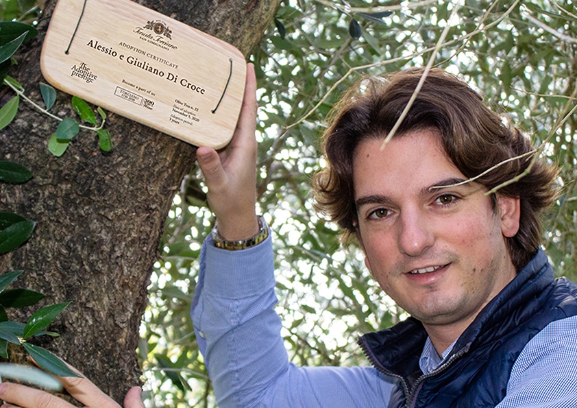 Personalised wooden adoption plaque on an adopted olive tree