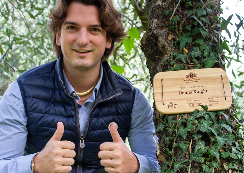 Personalised wooden adoption plaque on an adopted olive tree
