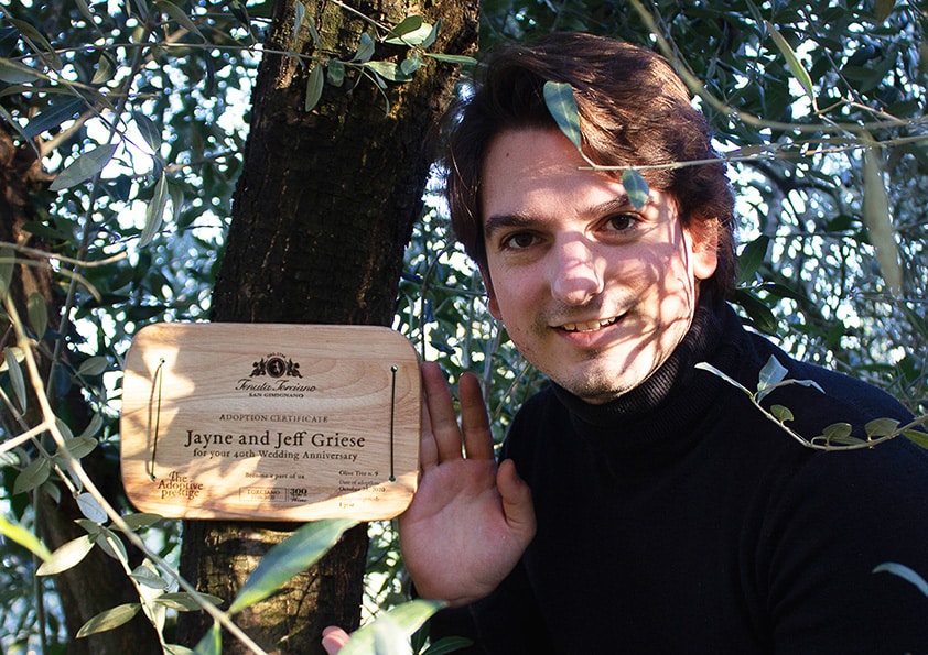 Personalised wooden adoption plaque on an adopted olive tree