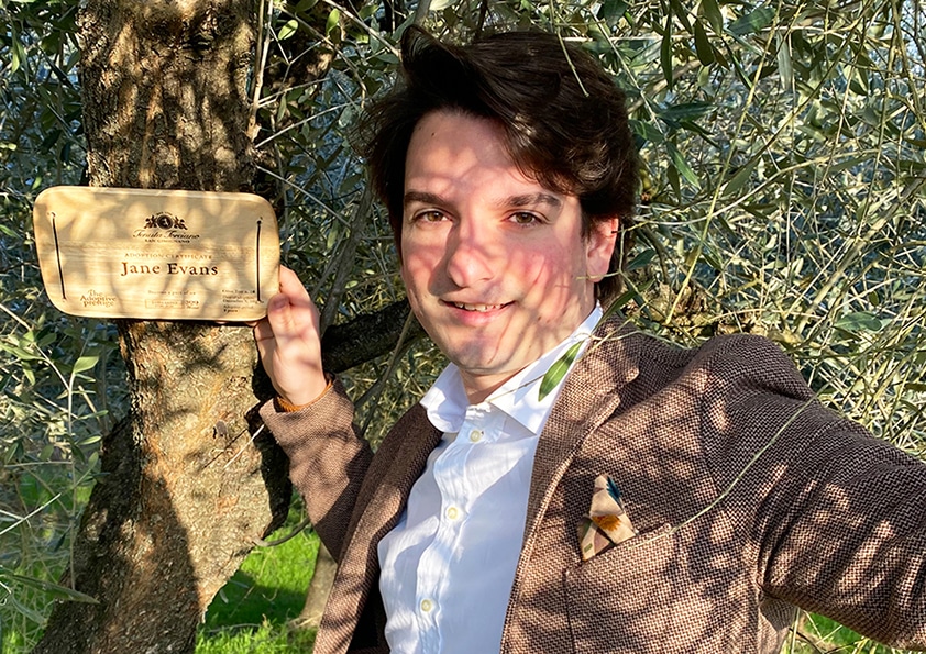 Personalised wooden adoption plaque on an adopted olive tree