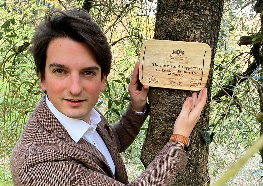 Personalised wooden adoption plaque on an adopted olive tree