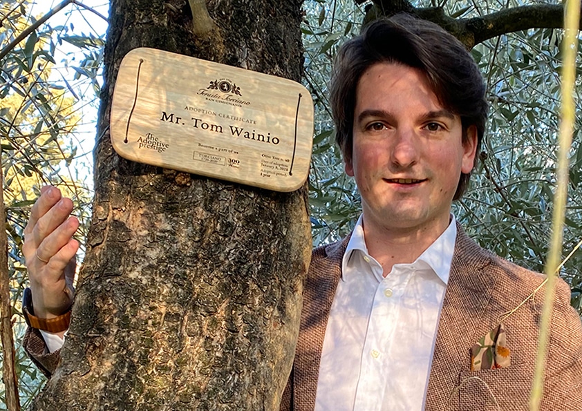 Personalised wooden adoption plaque on an adopted olive tree