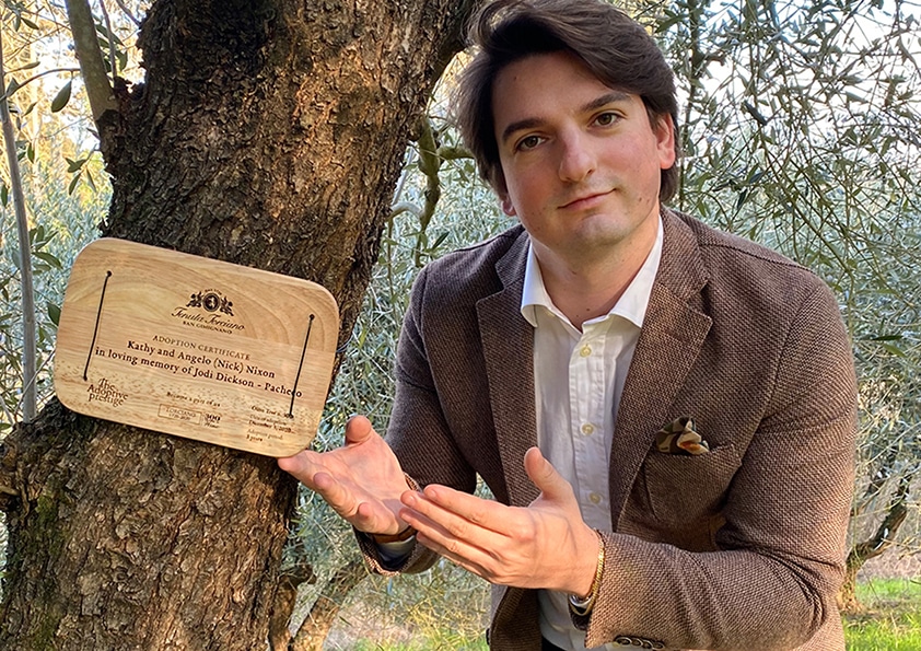 Personalised wooden adoption plaque on an adopted olive tree