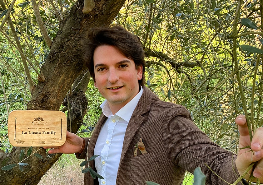 Personalised wooden adoption plaque on an adopted olive tree