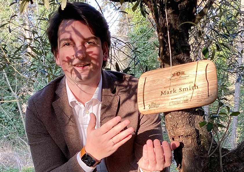 Personalised wooden adoption plaque on an adopted olive tree