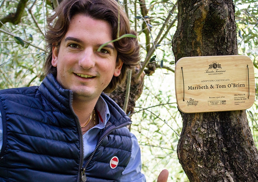 Personalised wooden adoption plaque on an adopted olive tree