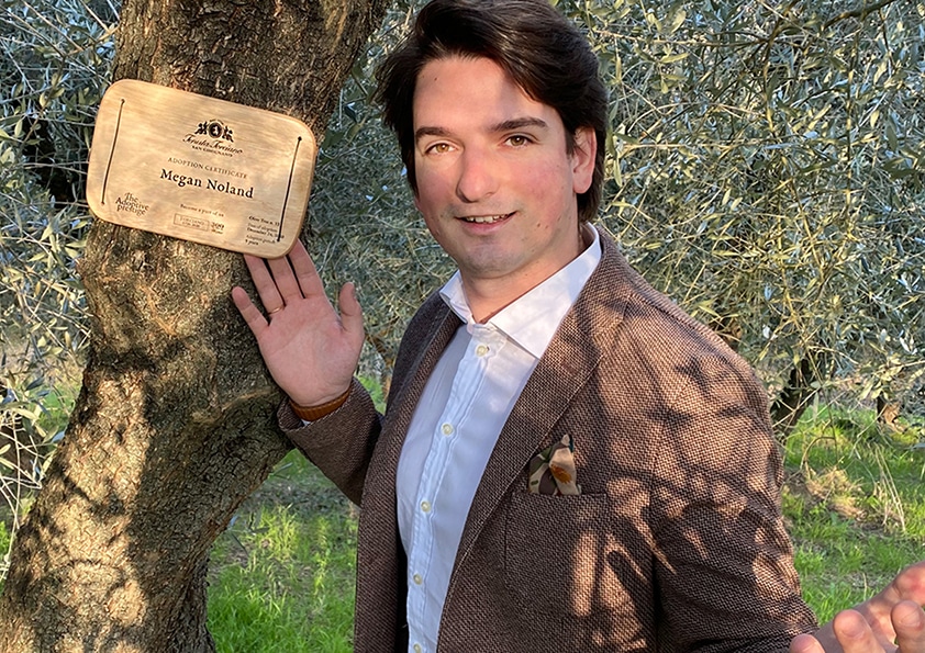 Personalised wooden adoption plaque on an adopted olive tree