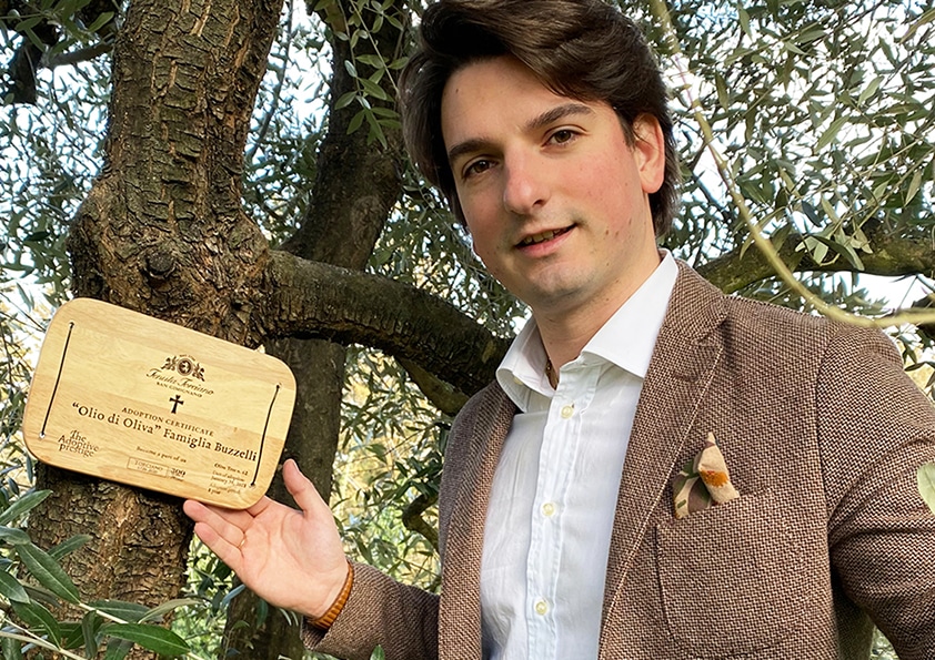 Personalised wooden adoption plaque on an adopted olive tree