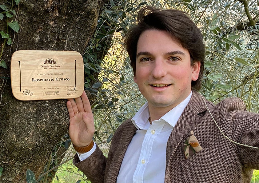 Personalised wooden adoption plaque on an adopted olive tree