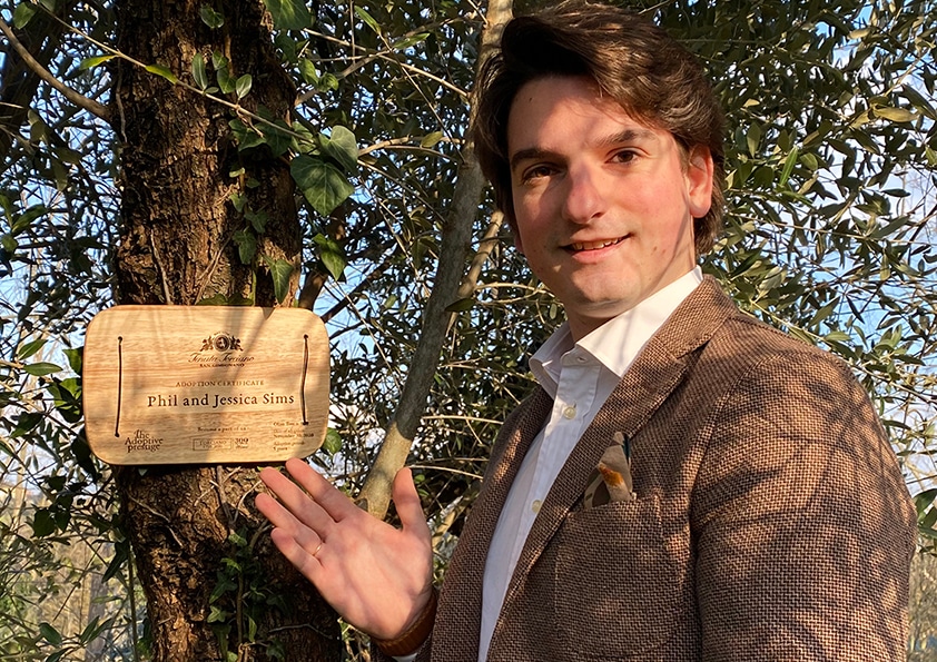 Personalised wooden adoption plaque on an adopted olive tree