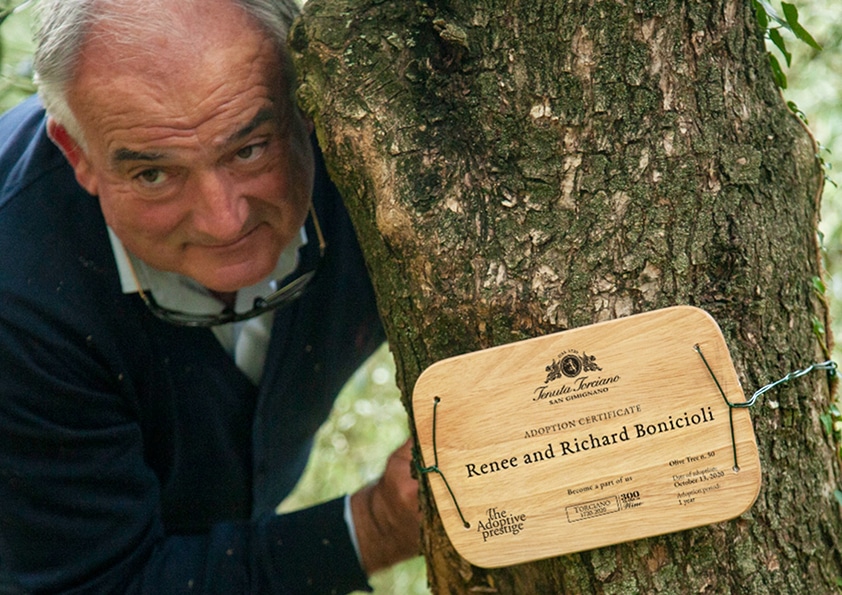 Personalised wooden adoption plaque on the trunk of an olive tree