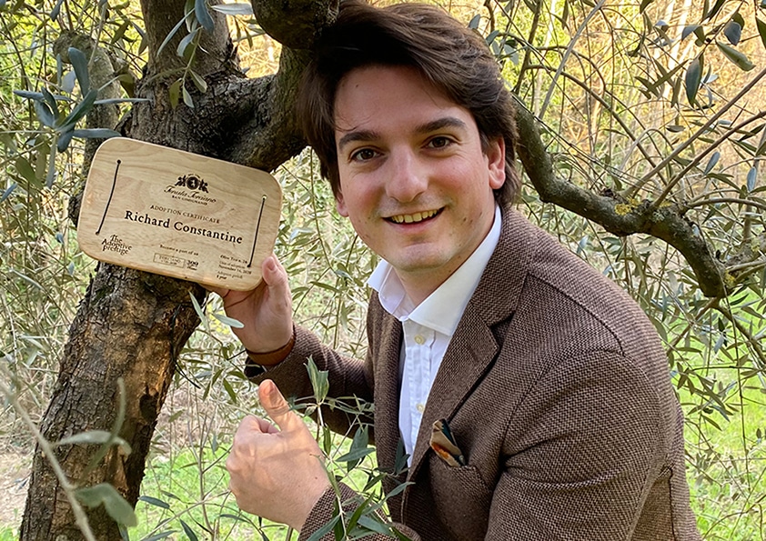 Personalised wooden adoption plaque on an adopted olive tree