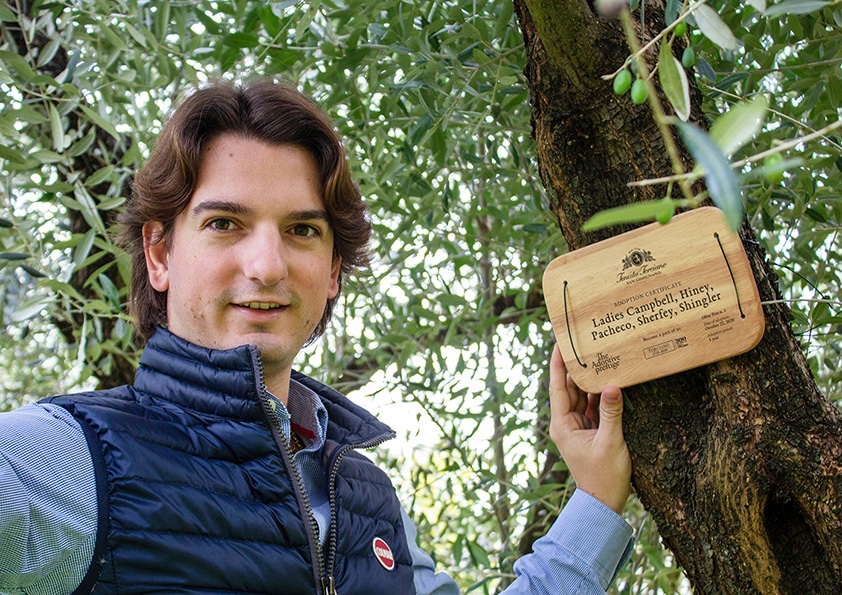 Personalised wooden adoption plaque on an adopted olive tree