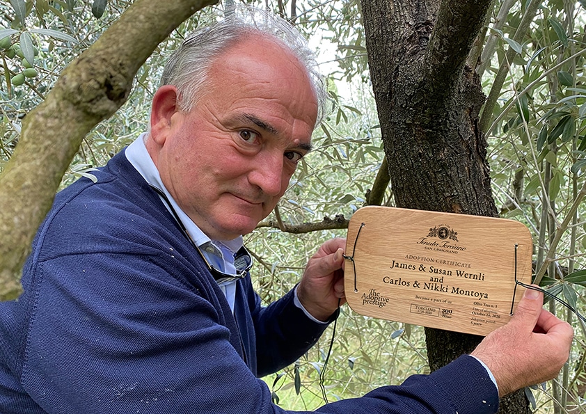 Placing a personalised wooden adoption plaque on an olive tree at Tenuta Torciano
