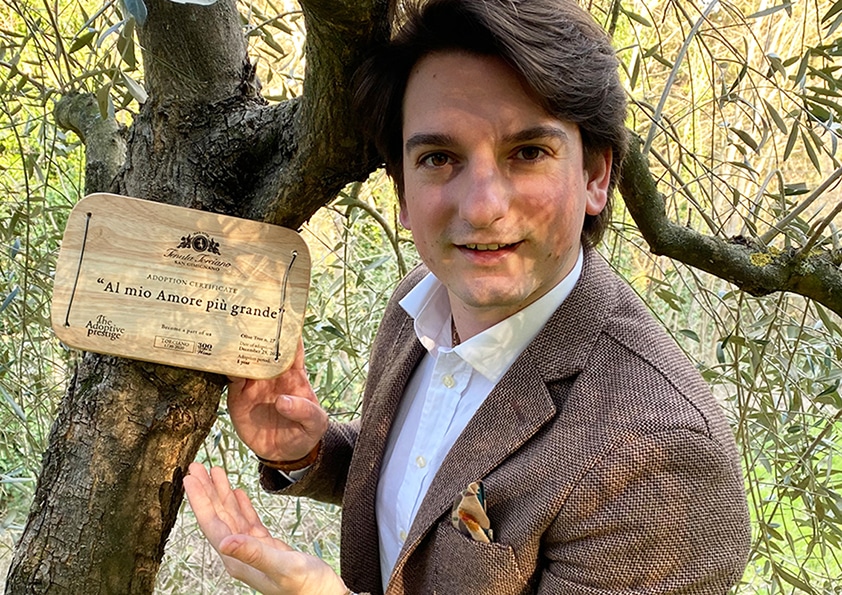 Personalised wooden adoption plaque on an adopted olive tree