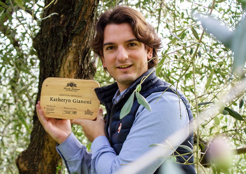 Personalised wooden adoption plaque held in front of an olive tree