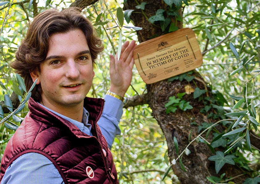 Commemorative wooden plaque in memory of the victims of Covid on an olive tree