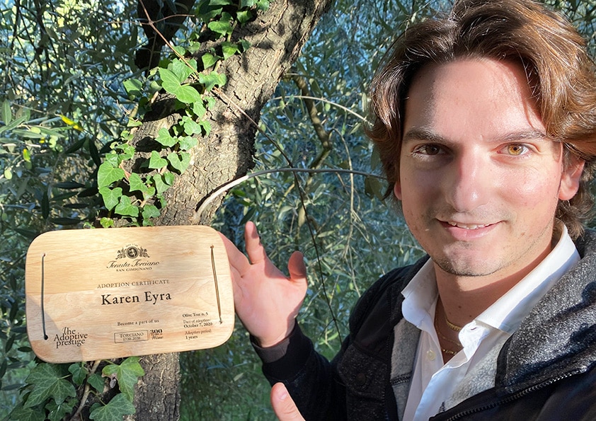 Personalised wooden adoption plaque on an adopted olive tree