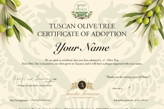 Sample Tuscan olive tree Certificate of Adoption, with “Your Name” where the name you choose will go
